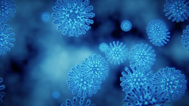 Virus cells Coronavirus (COVID-19) 4k High definition medical 3d animation, high definition microbiology, blue viruses under microscope. Popular scientific background Seamless loop.
