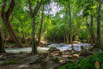 Beautiful waterfall in the forest at Erawan waterfall National Park, Thailand