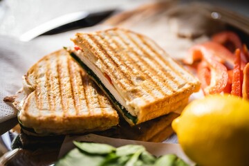 Fresh panini with sides served for lunch