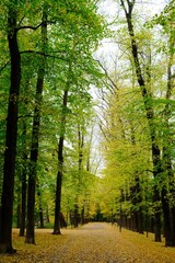 Herbst im Stadtpark mit vielen bunten Farbe