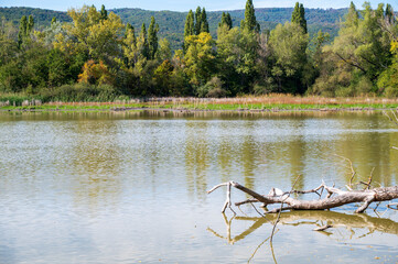 Lake in autumn forest with white clouds.