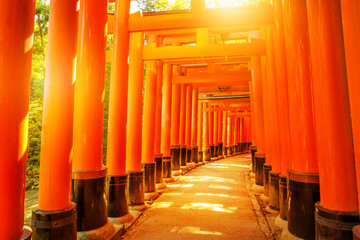 Thousands of vermilion torii gates of famous landmark Fushimi Inari taisha, south of Kyoto, Japan....