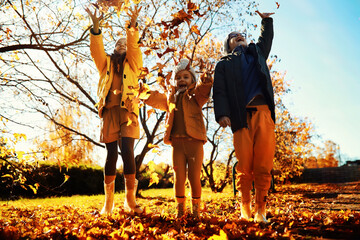Fototapeta premium Happy joyful little kid walking in beautiful autumn forest, child playing and having fun during walk in nature. Family outdoors