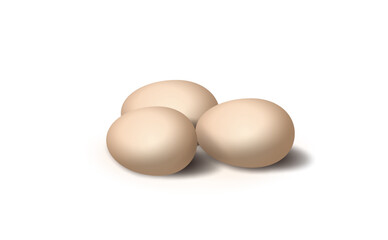 eggs