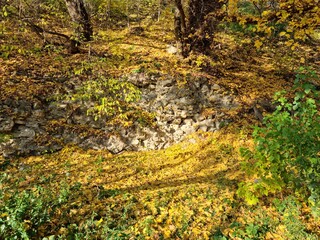 Beautiful autumn landscape with yellow trees and sun. Colorful foliage in the park. Falling leaves natural background