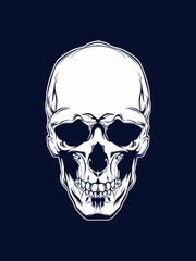 Skull illustration in high resolution vector format for poster, T shirt, logo, sign and symbol and brand identity