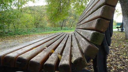 bench in the park