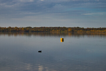 Gelbe Tonne auf dem Markkleeberger See, Markleeberg bei Leipzig, Sachsen, Deutschland
