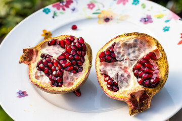 Mediterrane Landwirtschaft