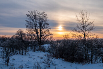Plenty of Snow on a Winter Afternoon in Caledon