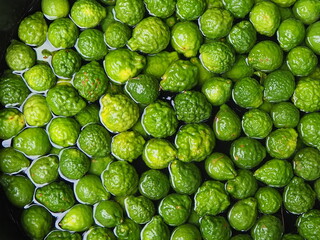 lots of bergamot soaked in water
