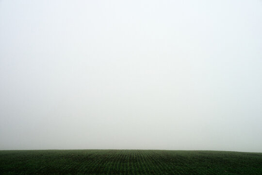 green field and foggy sky
