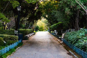 Inviting dreamy garden path leads back into the unknown