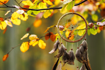 Dreamcatcher hanging on branch of beech tree. Autumn leaves in forest