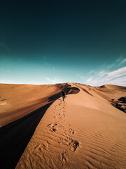 Fototapeta na wymiar Male traveler leaves footprints in dunes when walking in desert
