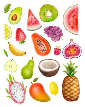 Watercolor painted collection of fruits. Hand drawn fresh food design elements isolated on white background.