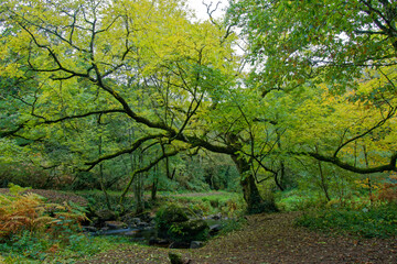 Obraz premium Chaos du Gouët, baie de Saint brieuc, ville de Saint Julien et Plaintel