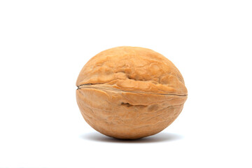 Insulated walnut in a shell on a white background