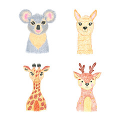  cute baby animals set.  giraffe, alpaca, koala and deer on a white background
