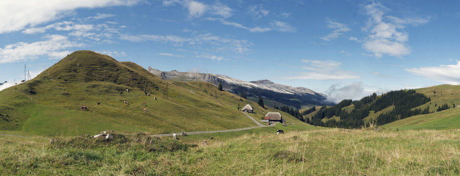 Die Bergkette der Schrattenfluh in den Luzerner Voralpen vier markante Gipfel auf Strick, H&auml;chlen, Hengst und Schibeng&uuml;tsch. Aussicht von den gr&uuml;nen Weiden rund um Tannigsboden
