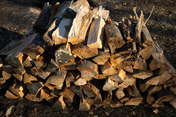 An armful of firewood. Biological fuel.