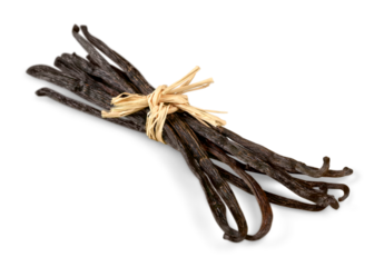 Dried vanilla sticks spice tied with a tourniquet