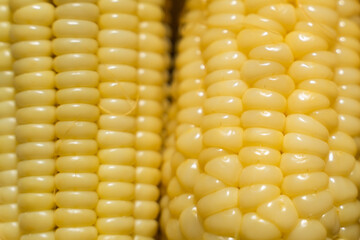 Close-up of cooked corn kernels