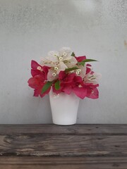 a vertical shot of beautiful red white bougainvillea flowers in a vase on a gray background