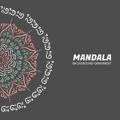 Mandala ornament background design vector
