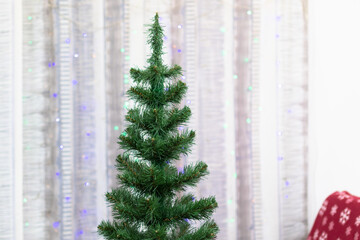 New Year tree with green branches and needles on the background of garlands on New Years Eve. Selective focus. Close-up
