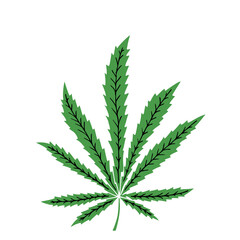 Cannabis leaf in doodle style. Hand Drawn. Freehand drawing. Sketch.	