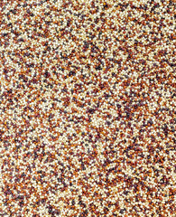 Seeds of uncooked quinoa