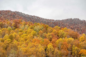 fall in the mountains