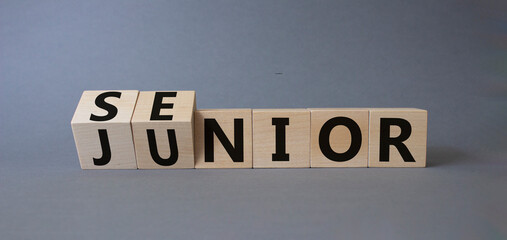 Senior and Junior symbol. Turned wooden cubes with words Senior and Junior. Beautiful grey background. Business and Senior and Junior concept. Copy space