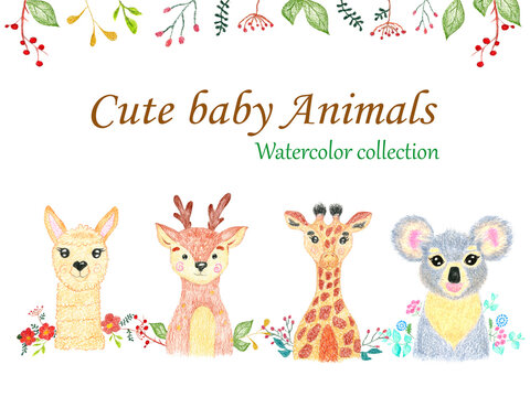 cute baby animals collection.  Giraffe, lama, koala and deer on a  flowers and leaves background