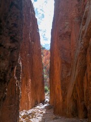 Vertical shot of the Standley Chasm in Northern Territory, Australia
