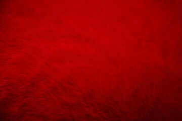 Red clean wool texture background. light natural sheep wool. blanket seamless cotton. texture of fluffy fur for designers. Fragment red serge carpet.Tweed haircloth.