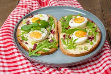 Boiled egg on bread with arugula, basil and pumpkin seeds cream in plate. Healthy food, keto diet, diet lunch concept. 