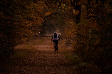 person riding a bike