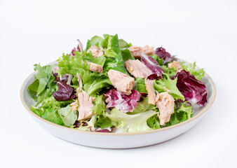 Tuna salad with lettuce, isolated on white background.