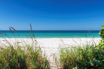 Fototapeta na wymiar Tropical white sand beach and blue sea in sunny dau in Miami South Beach, Florida.