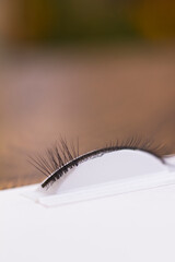 The process of training eyelash extension 3d close-up on a white background
