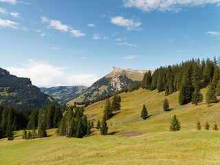 Fototapeta na wymiar Wunderbarer Blick vom Tannigsboden auf den Bergspitze schibengütsch am Ende des Gebirgsstocks der Schrattenfluh in den Luzerner Voralpen im Schweizer
