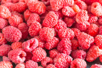 Close up for ripe red raspberries on sunlight