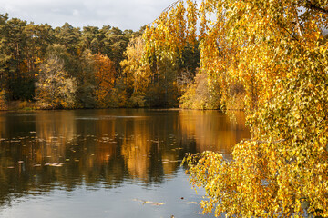 Autumn. Beautiful view of the river and the autumn forest.