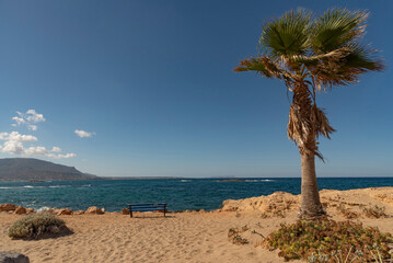 Malia, Crete, Greece. 2022. A quiet Cretan beach with a palm tree and a seat with blue sky at Malia, northern Crete.