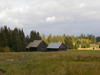 Stare chaty przy lesie © Pawe