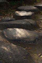護国寺　庭石　木漏れ日