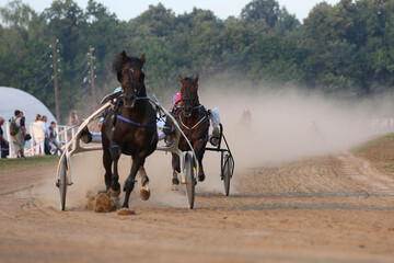 Horses and riders running at horse races