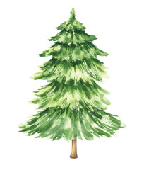 Watercolour Christmas tree. Winter season realistic illustration.